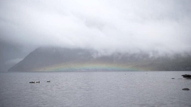  ducks swimming with a rainbow backdrop against a mountain backdrop at nelson lake, new zealand. 