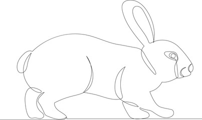 rabbit outline drawing in one continuous line, isolated, vector
