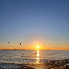 Sunset