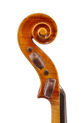 violin