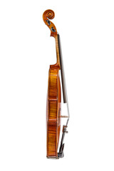 violin