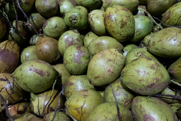 coconut on the market