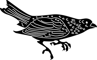 vintage vector illustration of a bird