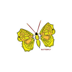 Creative butterfly vector design on white background