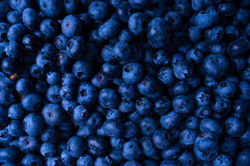 Fresh blueberry background. Texture blueberry berries close up.