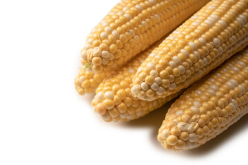Yellow corn isolated on white background. Copyspace.
