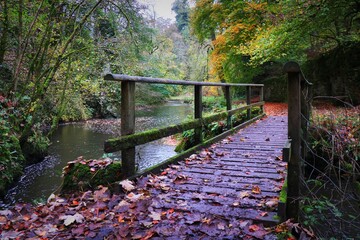 Hartington - autumn in the park