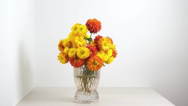 Flowers bunch on white background. Step by step installation of chrysanthemums flowers in vase. Creation of bouquets Stop motion animation. Close-up of fresh cut colorful flowers. Florist, floristry