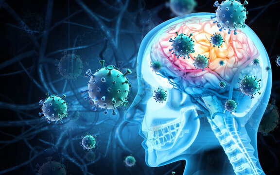Brain viral infection, Viral meningitis and encephalitis. 3d illustration