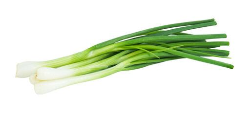 Green onion isolated on transparent background with PNG. - obrazy, fototapety, plakaty