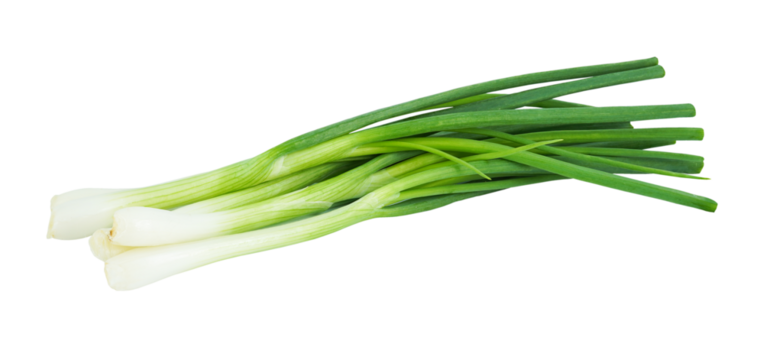 Green onion isolated on transparent background with PNG.