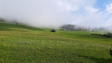 Morning mist on the meadows