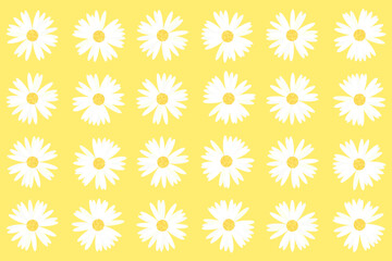 Pattern and set of daisies on yellow background