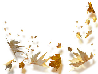 leaves falling flying isolated on the wind for autumn background