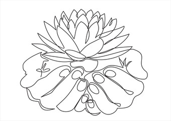 Continuous one line drawing of hands hold Lotus flower.