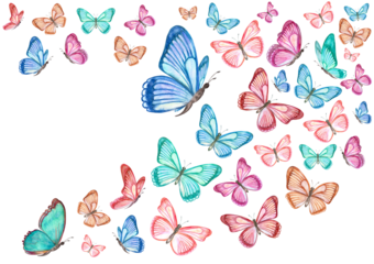 flying colorful butterflies for your design. watercolor painting. png