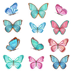 collection of beautiful butterflies for your design. watercolor painting. png