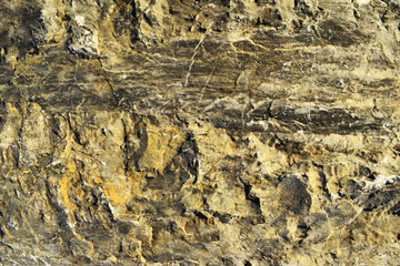 texture of the stone