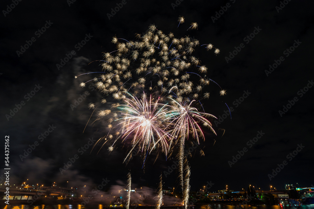 Canvas Prints fireworks over the river