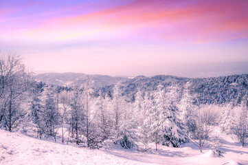 Beautiful winter wonder landscape Black Forest, Germany 