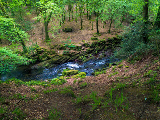 Glenary River cutting through thick forest