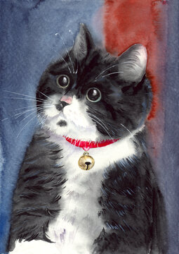 Watercolor illustration of a funny black and white cat with a red ribbon with a bell around his neck on a blue and red background