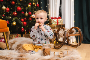 Little blonde boy sitting and eating cakes from a jar - Christmas decorations in background