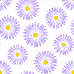 Purple aster flower pattern