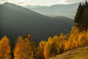 A charming mountain landscape in the Bucegi mountains, Carpathians, Romania. Autumn nature in Moeciu de Sus, Transylvania