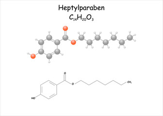 Molecule model, structural formula of heptylparaben.