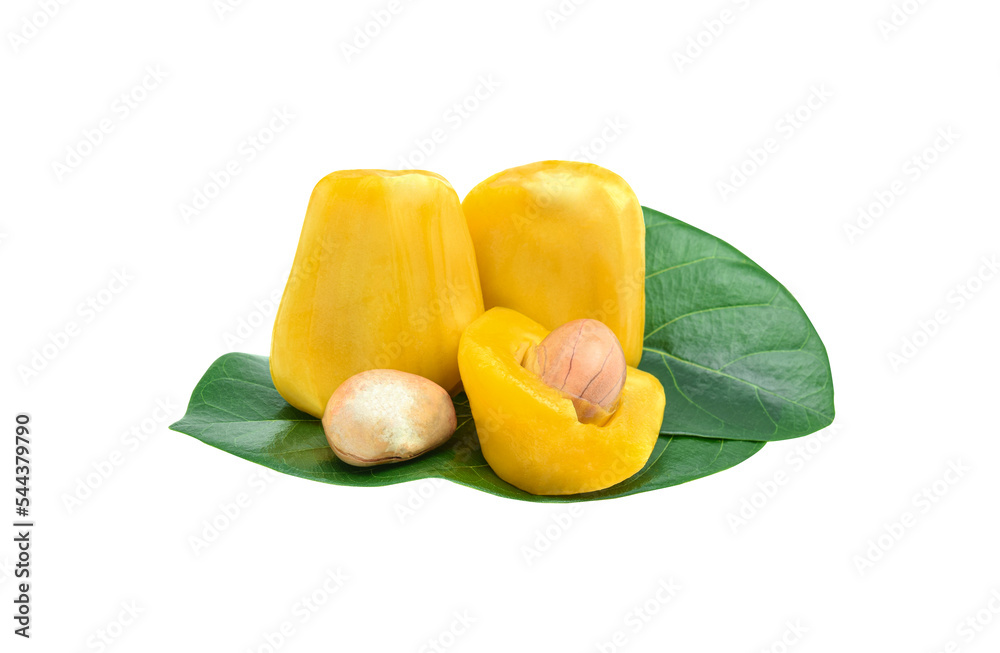 Wall mural Jackfruit with green leaves isolated on white background.