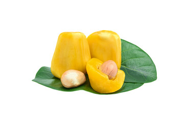 Jackfruit with green leaves isolated on white background.