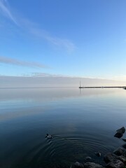 Walk by a Curonian lagoon 