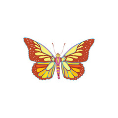 Obraz na płótnie Canvas butterfly isolated on white. Seamless monarch butterfly template eps 10