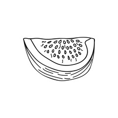 Fig fruit slice doodle illustration in vector. Cut fig fruit hand drawn illustration in vector. Fig fruit doodle illustration.