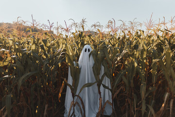 ghost on halloween