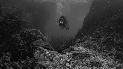 Taucherin mit Retromaske im Korallenriff in schwarz / weiß