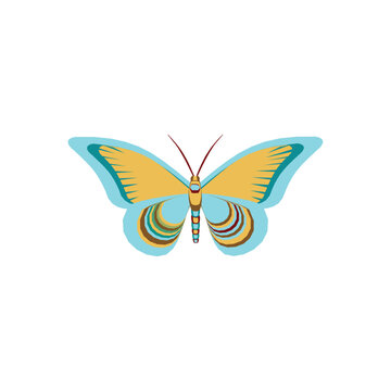 Modern logotype butterfly vector icon