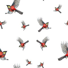 Bird flying red pattern a watercolor illustration