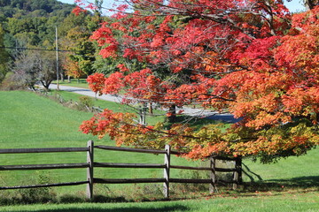 Country road in the fall