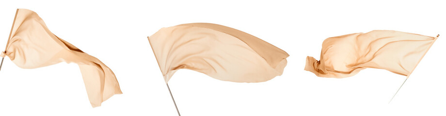 feather on white background