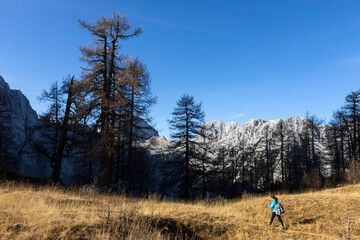 Fototapeta na wymiar Woman Hiker Hiking in Autumn High Mountains - European Alps Slovenia