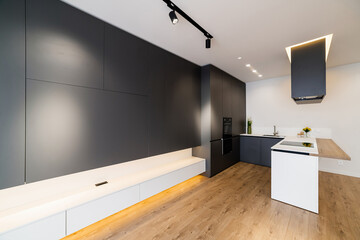 Fototapeta na wymiar Black large furniture in the studio kitchen