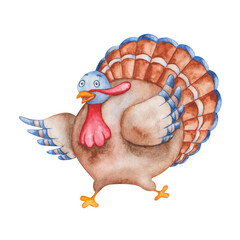 Watercolor illustration of hand painted turkey bird with brown, blue feathers, waving with a wing. Cartoon animal character. Traditional Thanksgiving bird. Isolated clip art for prints, posters, cards