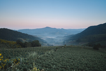 Obraz premium misty morning in the mountains
