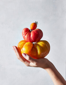 hand holding stack of heirloom tomatoes