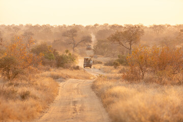 Safari car on game drive on a dirt road at dusk, Timbavati Game Reserve, South Africa.