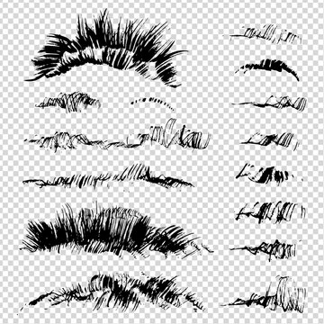 Abstract black texture grass or fur brush strokes on imitation transparent background