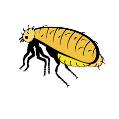 Illustration of a flea on a white background. 
