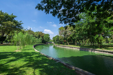 Natural public garden with green grass and tree, Green place with a freshness condition.